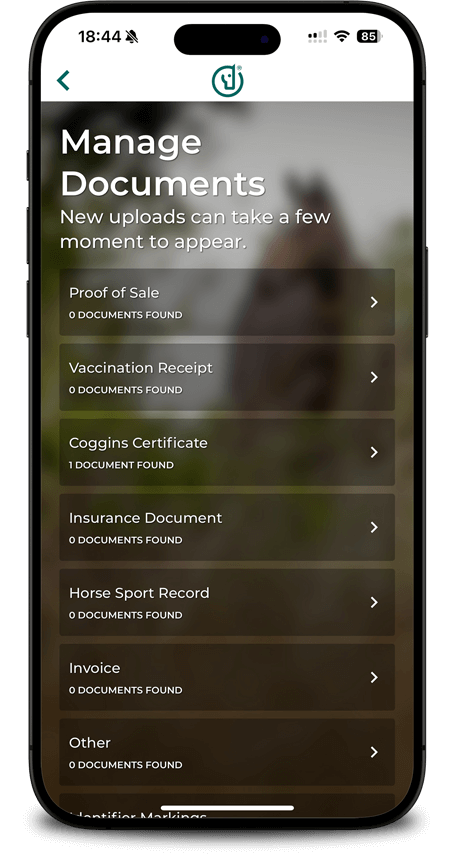 Ajoutez des documents illimités