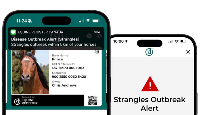 Alertes d’éclosion de maladie