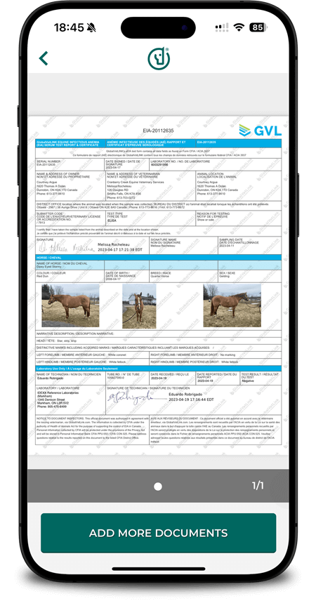 Stocker et accéder aux certificats Coggins GVL