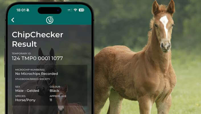 Microchip & ID number Lookup