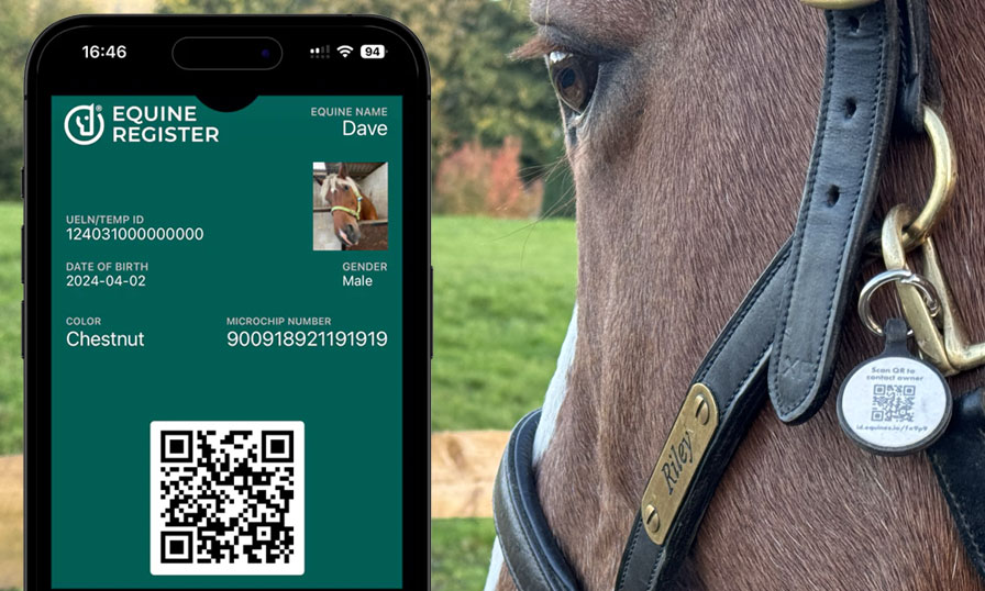 Voyez comment fonctionnent nos étiquettes QR